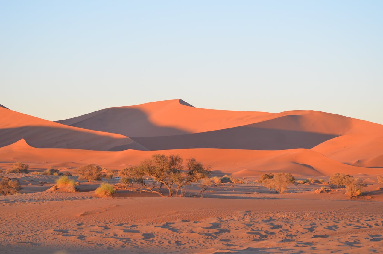 Contact Golden sands of Sossusvlei dunes illuminated by a stunning sunset.
